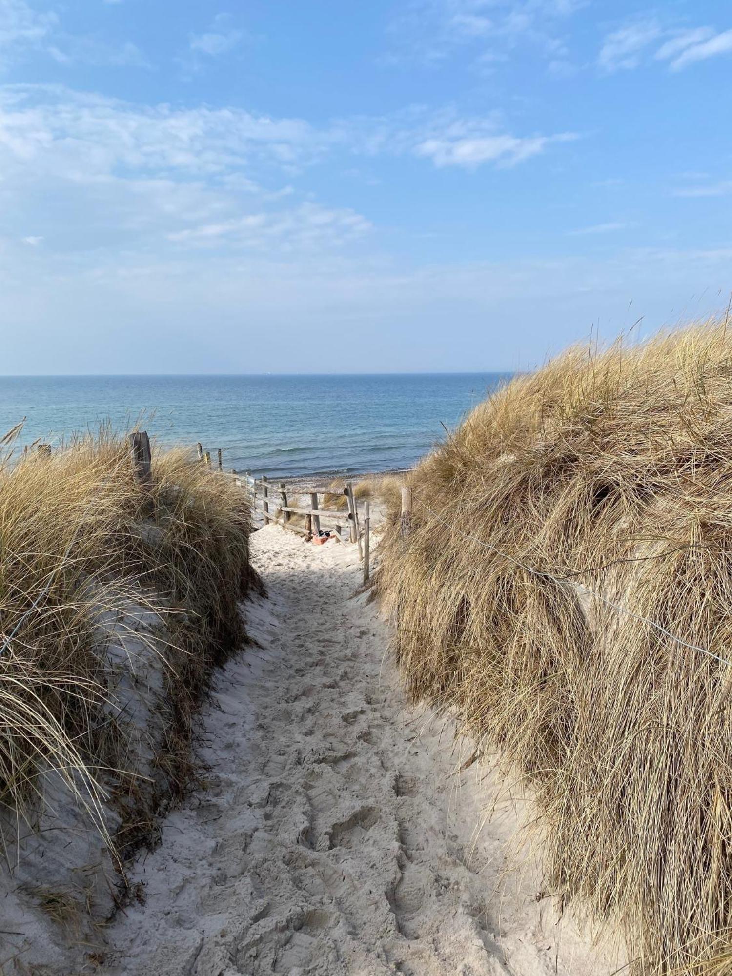 Whg 01 - Koje M Lejlighed Zingst Eksteriør billede